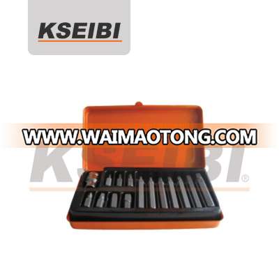 15 pcs KSEIBI Brand Hexagon Bit Set with Metal Case